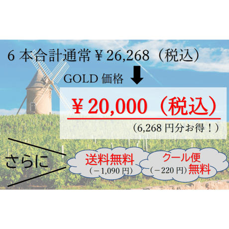 【第10弾】GOLDコース 6本20,000円セット