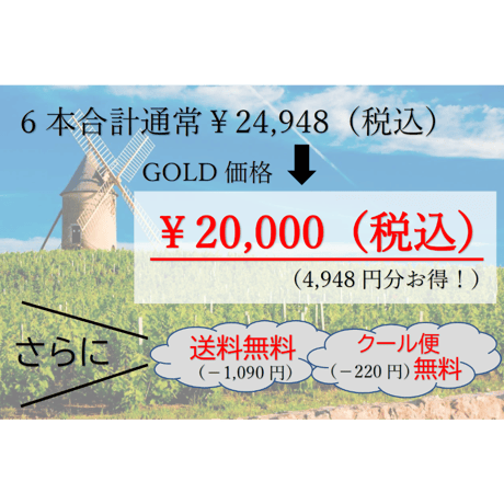 【第4弾】GOLDコース 6本20,000円セット