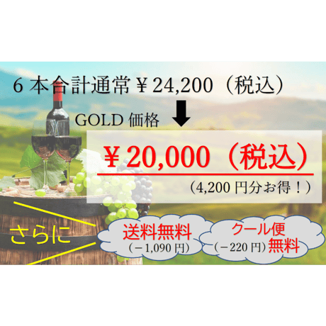 【第2弾】GOLDコース 6本20,000円セット