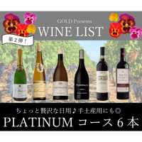 【第2弾】PLATINUMコース 6本40,000円セット