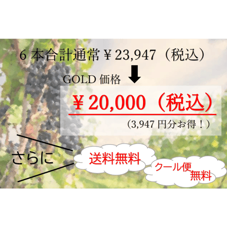 【第6弾】GOLDコース 6本20,000円セット