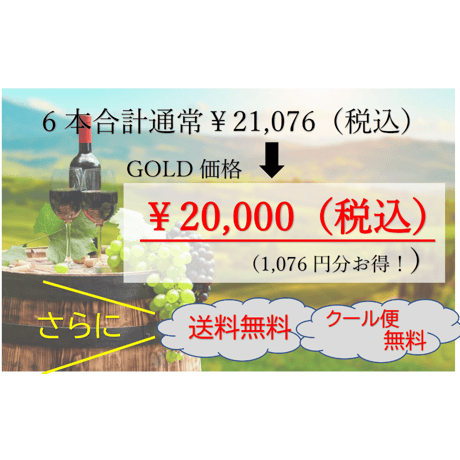 【第1弾】GOLDコース 6本20,000円セット