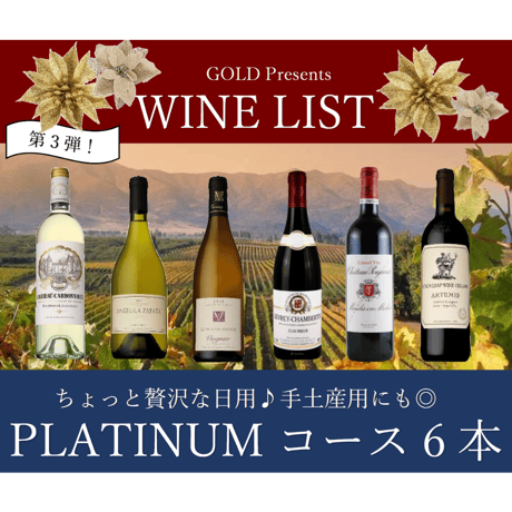 【第3弾】PLATINUMコース 6本40,000円セット