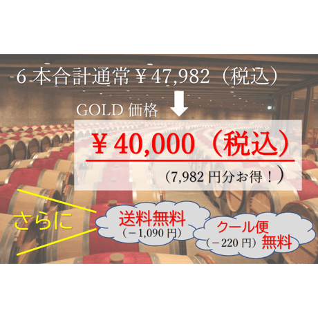 【第2弾】PLATINUMコース 6本40,000円セット