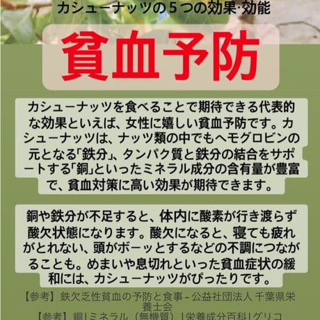 薄皮付きローストカシューナッツ15ｇ (×24食分)