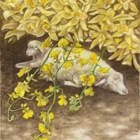 こぼれる光