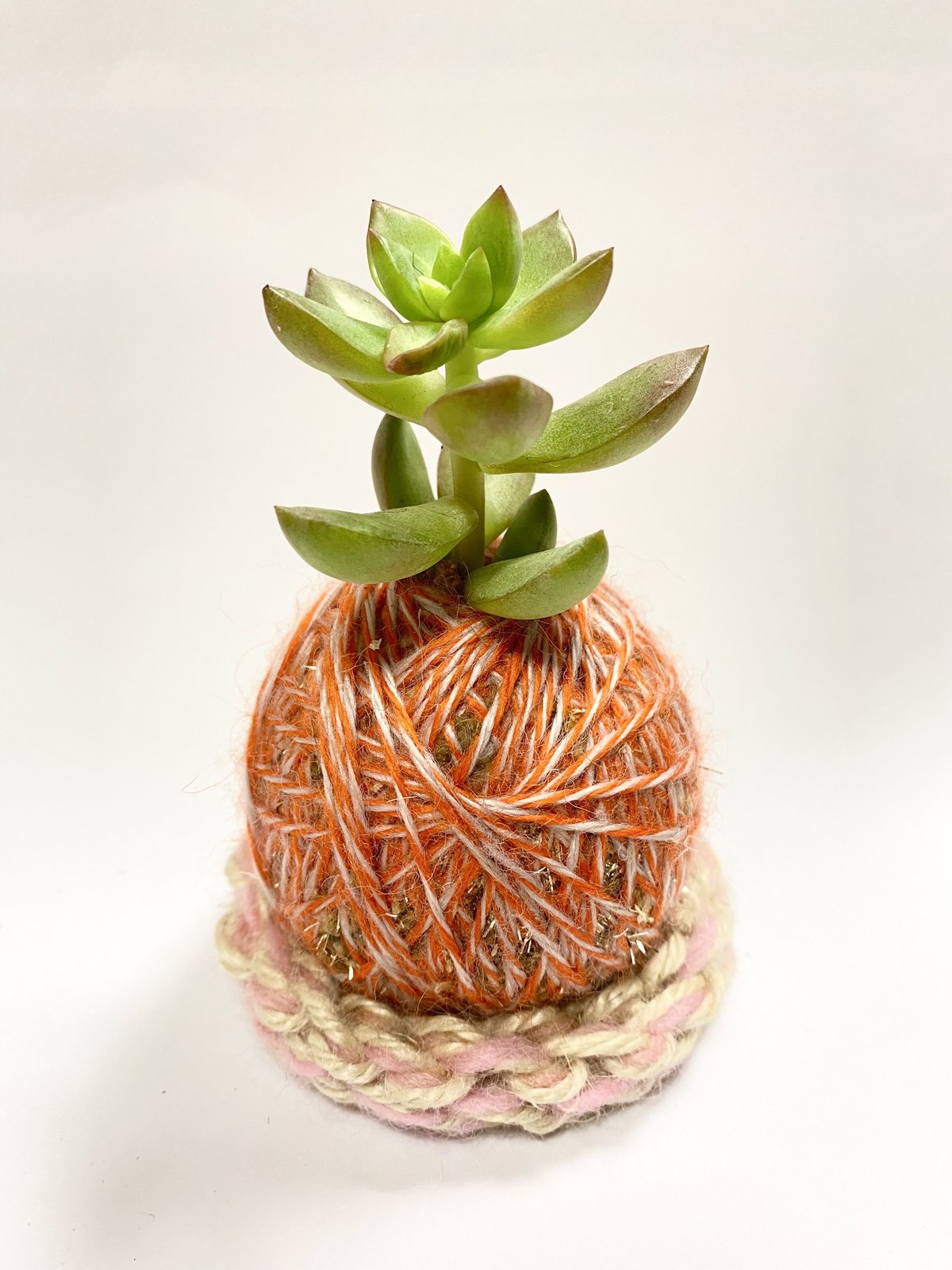 ChouChou様 多肉植物棚 DD-SP23 1点目 - インテリア小物
