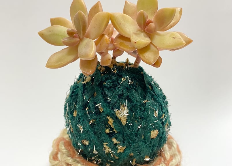 コタママ様　多肉植物棚　TD-OW90 コタママ様 多肉植物棚 TD-OW90 コタママ様 多肉植物棚 TD-OW90