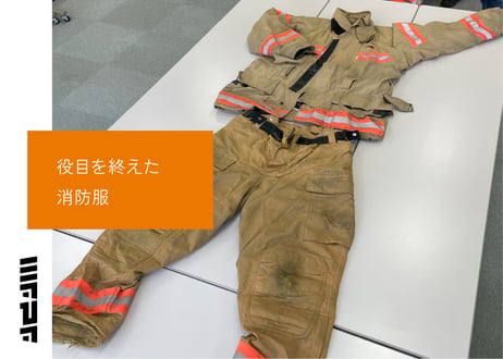 【15個限定】【WFPF】シコロ風防