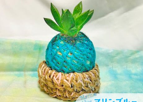 「新生活のはじまりに」セット（クオ・ヴァディス & ぱらだいすかふぇ）