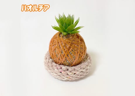 ぱらたま（多肉植物）　 ＊受注生産＊