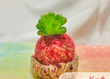 「新生活のはじまりに」セット（クオ・ヴァディス & ぱらだいすかふぇ）