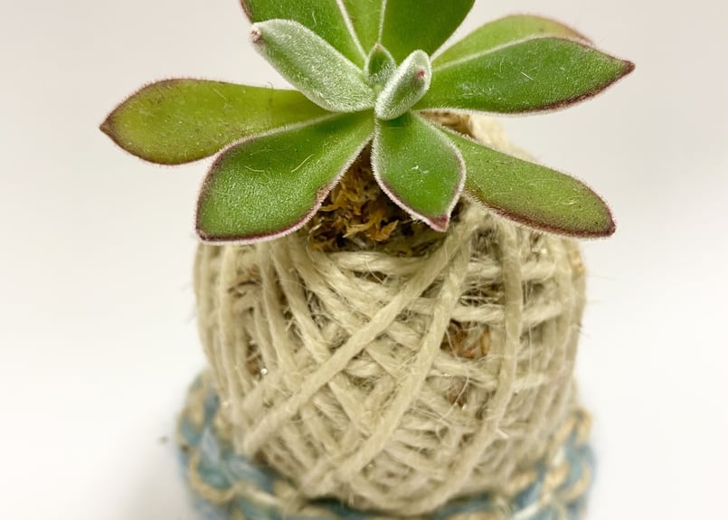 コタママ様　多肉植物棚　TD-OW90 コタママ様 多肉植物棚 TD-OW90