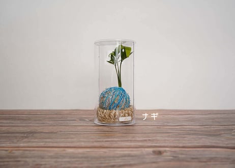 ぱらたま "GIFT"　 ＊受注生産＊