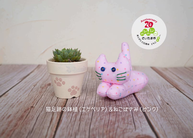 さいたま市誕生20周年記念 ^. .^にゃんにゃんセット