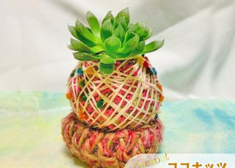 「新生活のはじまりに」セット（クオ・ヴァディス & ぱらだいすかふぇ）