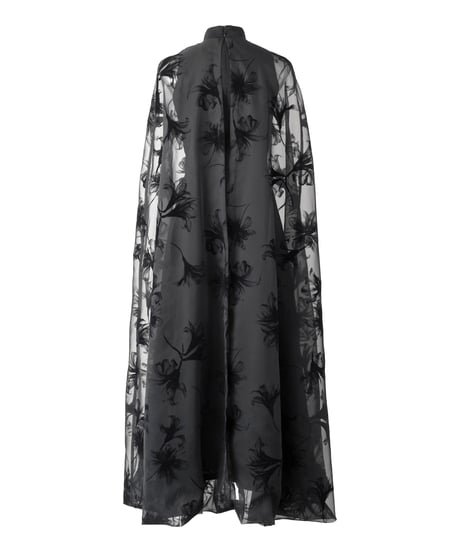 see-through ballooncape longdress