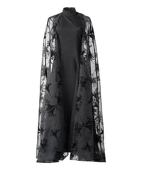 see-through ballooncape longdress