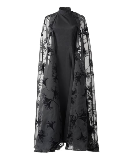 see-through ballooncape longdress