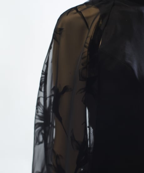 see-through ballooncape longdress