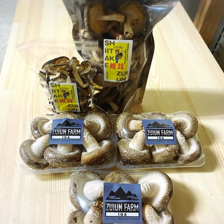 年末年始用 椎茸セット