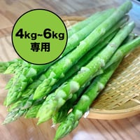 終了【4kg~6kg購入用】春採りアスパラガス（混合サイズ）1kg 3500円（税込）