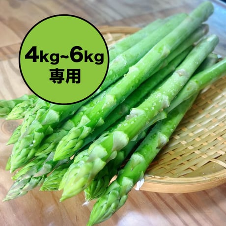 終了【4kg~6kg購入用】春採りアスパラガス（混合サイズ）1kg 3500円（税込）
