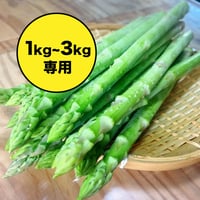 終了【1kg~3kg購入用】春採りアスパラガス（混合サイズ）1kg3500円（税込）