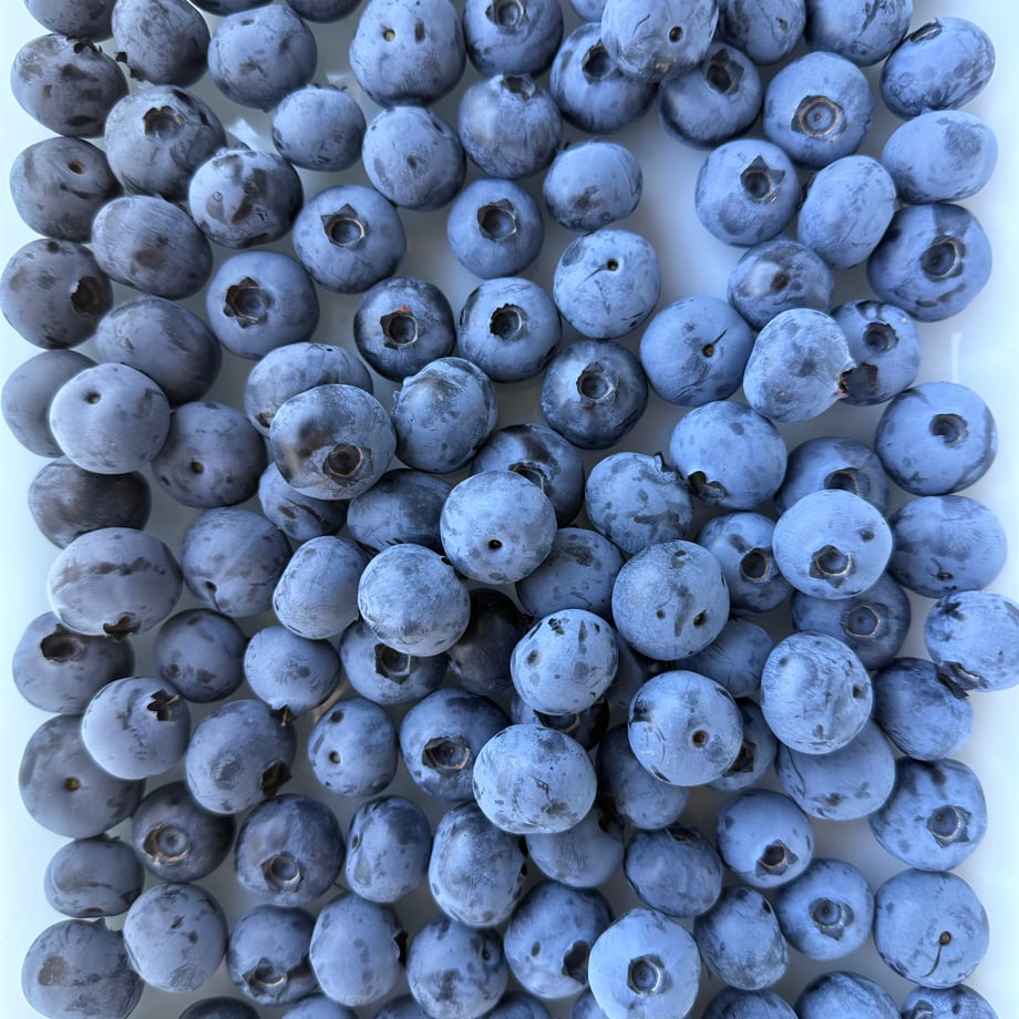 6a1e32f8e7836e427ef7ca97