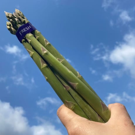 終了【1kg~3kg購入用】春採りアスパラガス（混合サイズ）1kg3500円（税込）