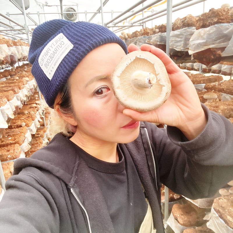 しいたけ 瑞雲しいたけ 2kg | 瑞雲ファーム