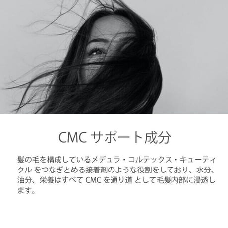 レイラアイ 藍Natural トリートメント スムース 300g（ボトル）
