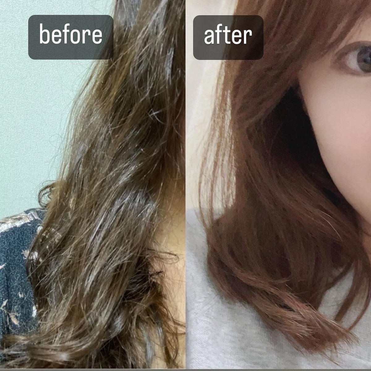 レイラアイ 藍Natural シャンプー 300ml（ボトル） | Charmignon