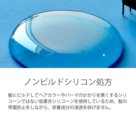 レイラアイ 藍Natural トリートメント スムース 300g（ボトル）