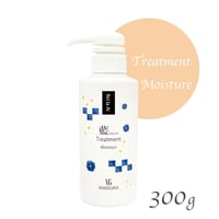レイラアイ 藍Natural トリートメント モイスチャー 300g（ボトル）