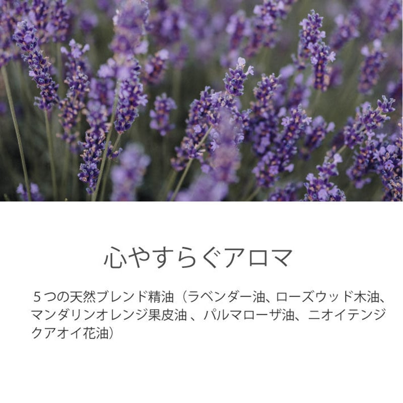 レイラアイ 藍Natural シャンプー 300ml（ボトル） | Charmignon