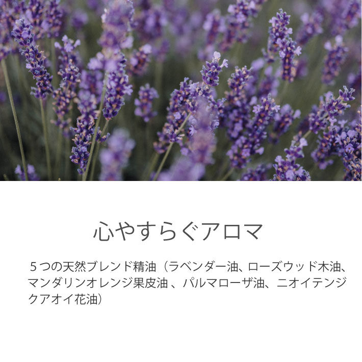 新品　レイラアイ　シャンプーセット計4本 レイラアイ | MAKEGINA公式オンラインショップ