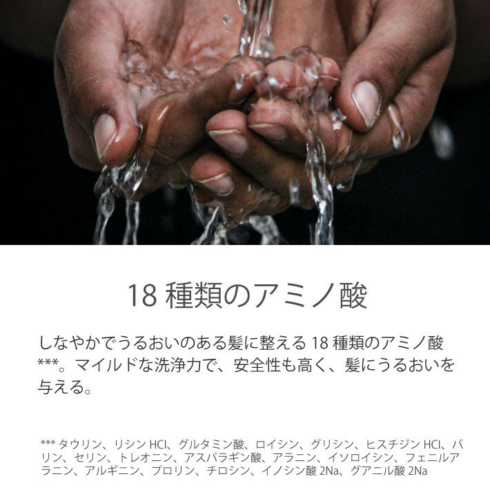 レイラアイ 藍Natural シャンプー 300ml（ボトル） | Charmignon