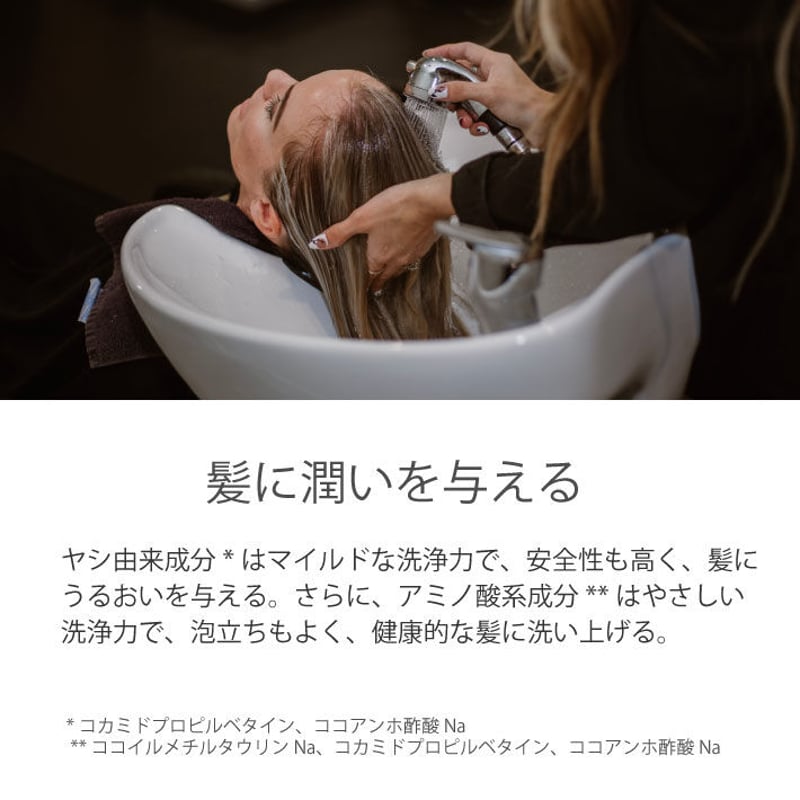 レイラアイ 藍Natural シャンプー 300ml（ボトル） | Charmignon