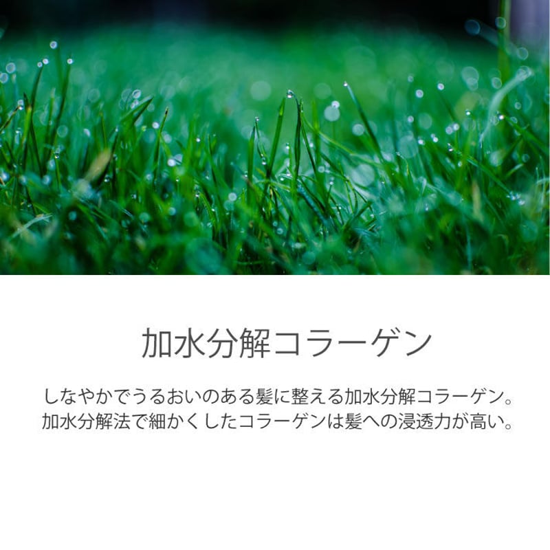 レイラアイ 藍Natural シャンプー 300ml（ボトル） | Charmignon