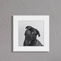 006-dog - 災害用トイレ5回分入 -
