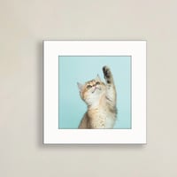 003-cat - 災害用トイレ5回分入 -