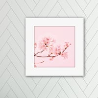 024-桜- 災害用トイレ5回分入 -