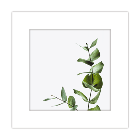 015-plant - 災害用トイレ5回分入 -