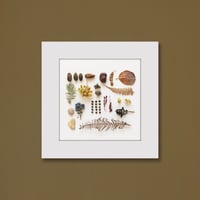 018-autumn- 災害用トイレ5回分入 -