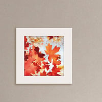 022-AutumnLeaves- 災害用トイレ5回分入 -