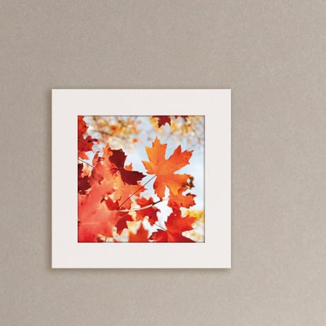 022-AutumnLeaves- 災害用トイレ5回分入 -