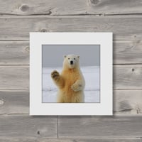 021-Bear- 災害用トイレ5回分入 -