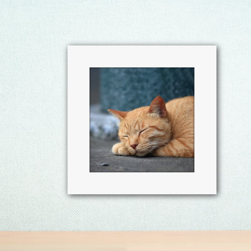 023-お昼寝ねこ- 災害用トイレ5回分入 - | artwalet