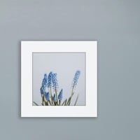 016-flower - 災害用トイレ5回分入 -